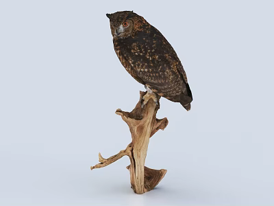 Majestic Owl Perched On Natural Tree Branch Against Light Background 3d model