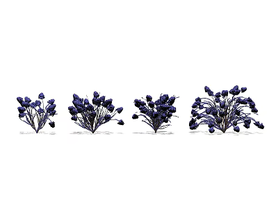 Purple Flowering Shrubs In Garden Landscape With Decorative Plant Clusters 3d model