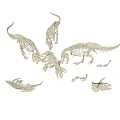 Dinosaur Skeleton Fossil Models With Various Species For Educational Research 3d model