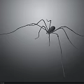 Spider with long thin legs and metallic texture on gray gradient background