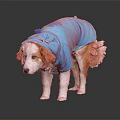 Cute Dog Wearing Blue Shark Costume Standing On Dark Background With Reflection