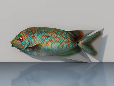 Green Spotted Fish With Red Eyes And Streamlined Body On White Background With Reflective Surface 3d model