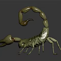 Scorpion 3D Model With Detailed Body Curved Tail And Sharp Claws On Black Reflective Surface