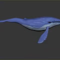 Blue Whale Toy Model With Smooth Surface And Reflection On Gray Background 3d model