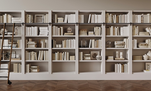 Modern Book Ornaments Bookcase Niches 3d model