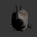 Whole Fresh Fish With Yellow Eye And Silver Gray Striped Body On Dark Background