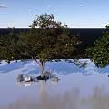 Garden Landscape With Fruit Trees Stone Decorations And Reflective Water Surface
