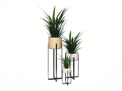 Green Potted Plants with Long Leaves on Black Metal Stands Beige White Pots Different Heights 3d model