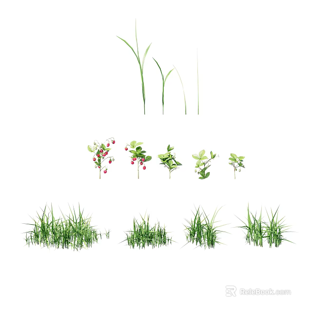 Vibrant Green Grass and Herbaceous Plants with Red Berries in Natural 3d model 