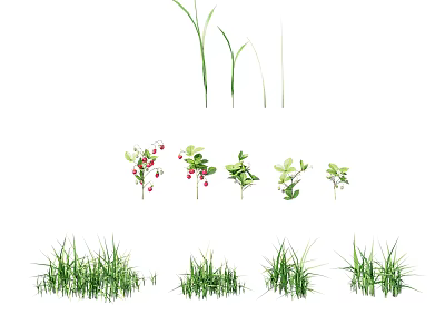 Vibrant Green Grass and Herbaceous Plants with Red Berries in Natural 3d model