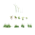 Vibrant Green Grass and Herbaceous Plants with Red Berries in Natural
