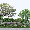 Vibrant Colorful Flowers and Lush Green Shrubs in Natural Garden Landscape with Trees and Stones