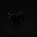 Black Bull With Curved Horns Standing In Full Body View On Dark Background