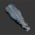 Realistic Hippopotamus 3D Model With Vibrant Blue And Red Hues On Dark Background