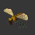 Close Up View Of Bee With Transparent Wings Metallic Orange Black Body On Dark Background