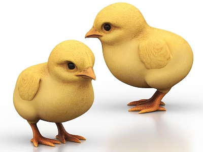 Cute Yellow Baby Chicks With Soft Feathers And Orange Feet Standing 3d model