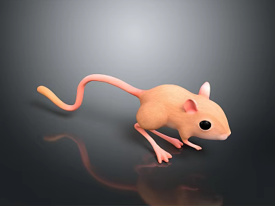 3D Rendered Pink Mouse Character With Slender Tail Large Black Eyes On Glossy Black Surface 3d model