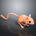 3D Rendered Pink Mouse Character With Slender Tail Large Black Eyes On Glossy Black Surface