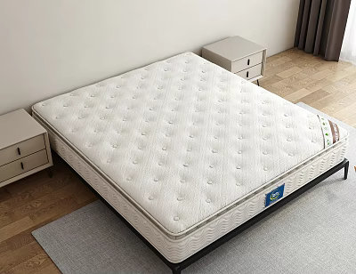 Quality White Mattress with Bedside Tables on Wooden Floor and Gray Rug 3d model