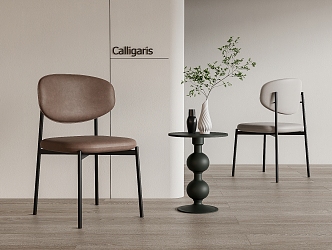 Calligaris Dining Chair Single Chair Leisure Chair 3d model