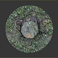 Natural Wooden Stump Surrounded By Green Vines Moss Mushrooms And Fallen Leaves