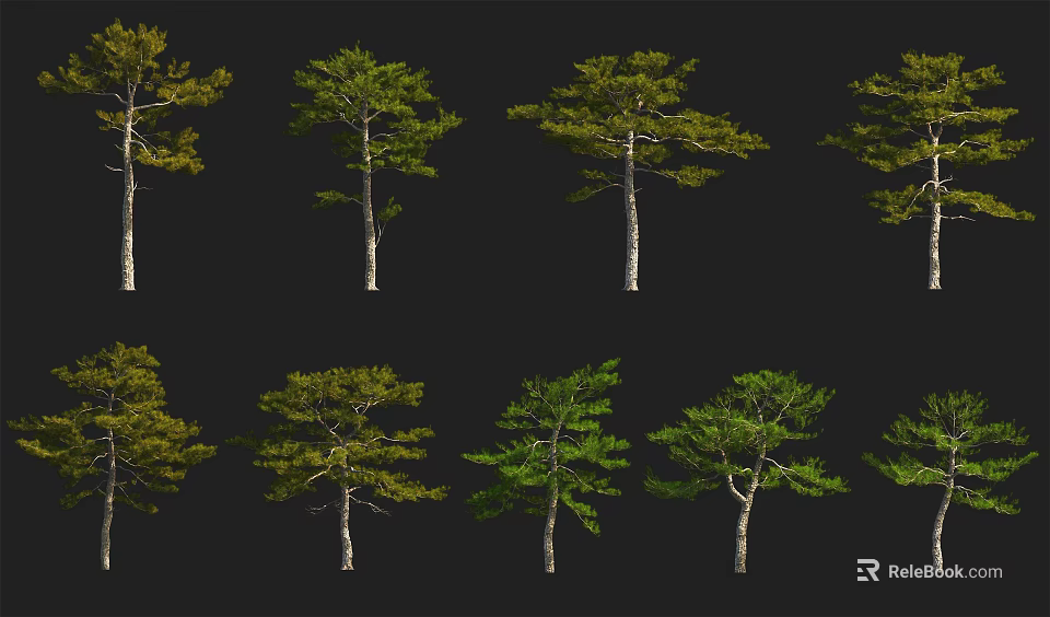 Various Arbor Trees With Green Foliage And Diverse Trunk Shapes For Landscape Design 3d model 