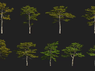 Various Arbor Trees With Green Foliage And Diverse Trunk Shapes For Landscape Design 3d model