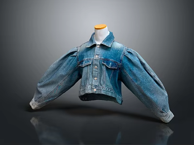 Stylish Cropped Denim Jacket With Puffed Sleeves Buttoned Front And Pockets 3d model