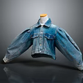 Stylish Cropped Denim Jacket With Puffed Sleeves Buttoned Front And Pockets