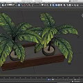 Two Bonsai Potted Plants In Wooden Rectangular Planter With Green Leaves 3d model