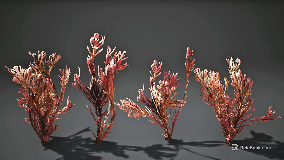 Colorful Red Pink Aquatic Plants with Branching Feathery Foliage for Aquarium Decor 3d model 