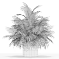 Lush Green Potted Palm Plant with Dense Foliage in Gray Container for Indoor Decor