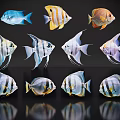 Colorful Aquatic Animals Various Species With Striped Patterns And Vibrant Fins