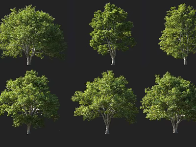 Arbor Trees Displaying Green Canopies And Brown Trunks In Various Forms 3d model