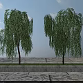 Outdoor Locker In Garden With Willow Trees And Stone Pathway Design
