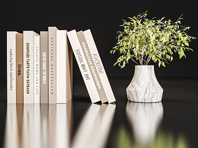 Stylish Decorative Ornament Combination With Stacked Books Marble Vase And Green Plant On Black Surface 3d model
