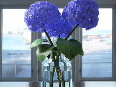 Purple Hydrangea Flowers In Transparent Glass Vase With Green Leaves By Window Seaside View 3d model