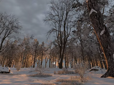 Serene Winter Forest Landscape With Snow Covered Trees And Sunlit Snowy Ground 3d model