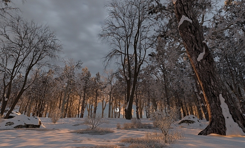 Snow night outdoor 3d model