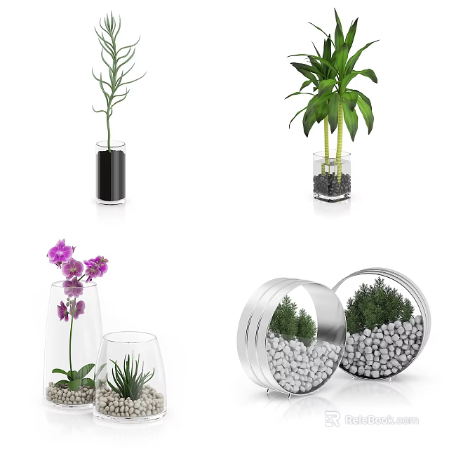 Bonsai Potted Green Plants and Flowering Orchids in Glass Vases Metal Containers with Decorative Pebbles 3d model 