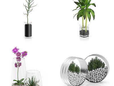 Bonsai Potted Green Plants and Flowering Orchids in Glass Vases Metal Containers with Decorative Pebbles 3d model