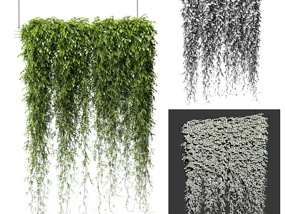 Lush Green Hanging Vines With Trailing Leaves For Decorative Wall Mesh 3d model