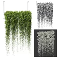 Lush Green Hanging Vines With Trailing Leaves For Decorative Wall Mesh 3d model