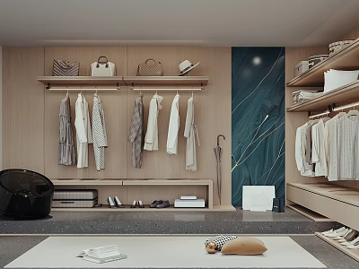 Modern Walk in Closet Interior Design With Hanging Garments Handbags And Shoe Racks 3d model
