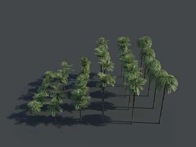 3D Model Palm Trees With Different Heights Green Foliage And Arranged Formation 3d model