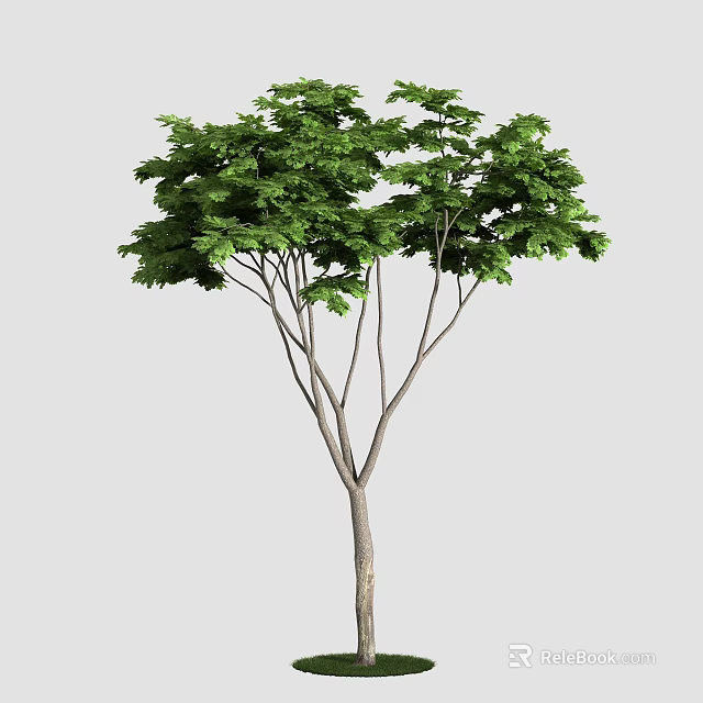 Beautiful Vibrant Green Arbor Tree With Brown Trunk And Lush Canopy 3d model 