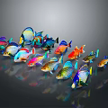 Colorful Tropical Fish in Group Showing Various Bright Colors and Shiny Reflections