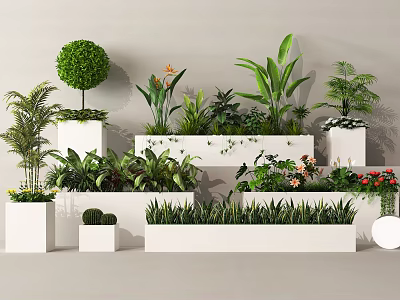 Varied Green Plant Combination With Different Leaf Shapes And White Planters 3d model