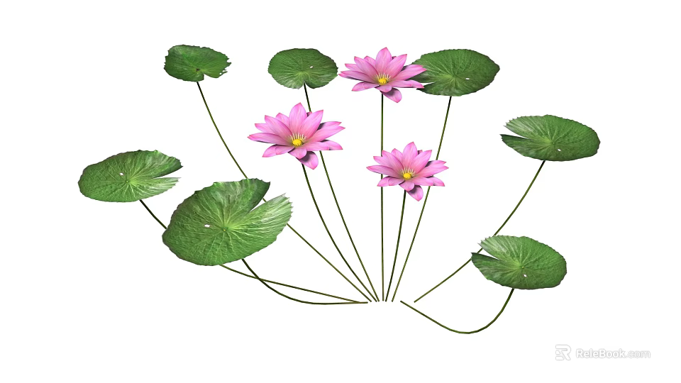 Pink Lotus Flowers With Green Lily Pads And Fresh Leaves In Natural Setting 3d model 