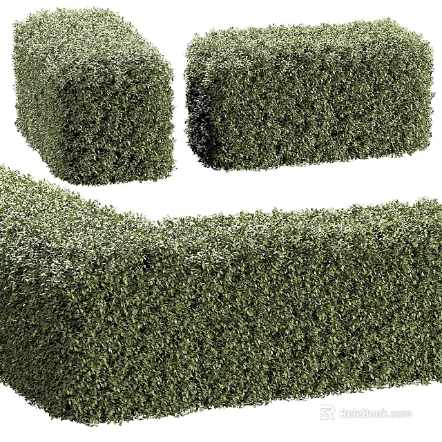 Neatly Trimmed Green Plant Combinations With Geometric Shapes For Landscape Design 3d model 